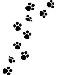 Cat paw prints are extremely easy to draw.