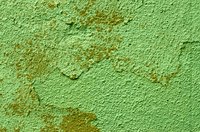 Remove distemper paint.