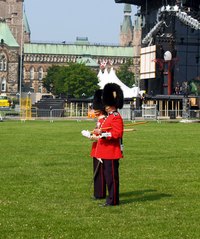 Royal Guard are military people who guard a king and/or queen.