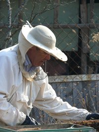 Be a beekeeper for Halloween!