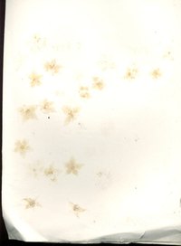 Blotting paper is used for absorbing excess oil or ink and can be substituted with other absorbent paper products.