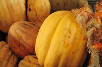 Spaghetti squash can satisfy your appetite for pasta.