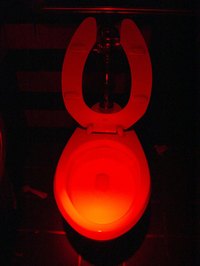Do not paint the seat while it is still affixed to the toilet.