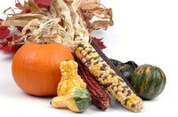 The Southwestern Indian's diet was primarily fresh and dried vegetables.