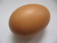 To preserve an eggshell, the contents must be removed first.