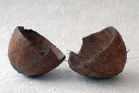 A coconut shell's wood-like composition creates an ideal base for charcoal production.