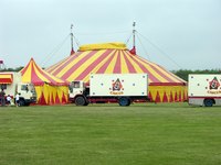 Feature a large circus tent in your backdrop.
