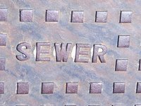 A well-made septic system for your dog's waste can help the environment and your yard.