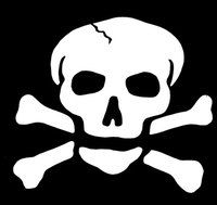 A perfect black and white skull.