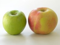 Apples are good sources of sorbitol, a type of sugar alcohol.
