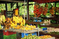 The fresh food available in each area influences regional Latin American cuisine.