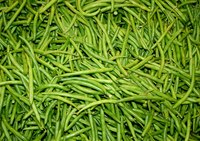 Planting disease-resistant green bean seeds helps prevent fungi.