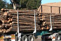 Small trucking companies must be especially aware of where the money goes.