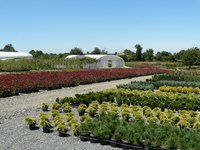 Landscaping businesses utilize plant nurseries for project supplies.