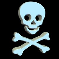 Software pirates can affect company profits.