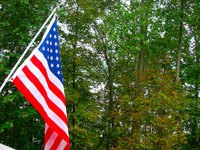 Decorate your house with flags and wreaths on Veterans Day.