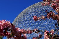 Steel tubing was used to form this geodesic dome.