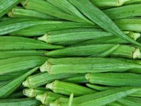Ladyfingers or okra are an exotic addition to the garden.