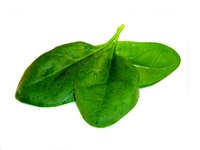 Spinach can be used to round out your Popeye costume.