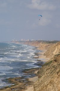 Hebrew is the national language of Israel.