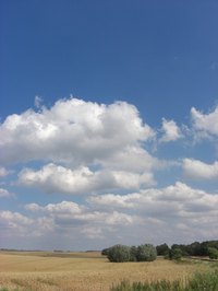 Buying vacant land allows you to build your own home.