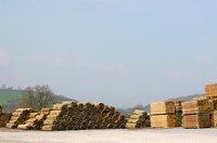 Start a lumber yard.