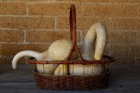 Paint swan neck gourds.