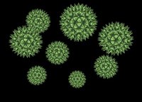 This is what viruses look like up close.