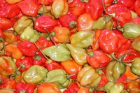 Grow your own habanero peppers instead of purchasing them from a store.
