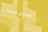There are four strategies for future growth.