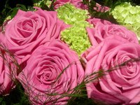 Boost your Valentine's Day sales.