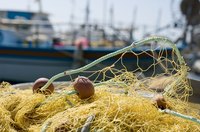 Most fishing nets are too big for kids to use comfortably.