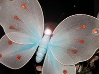 Make your own butterflies.