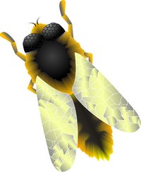 Students can make a construction paper beehive when learning about apiology.