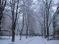 Significant snowfall often necessitates the need for snow tires.