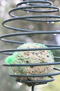 Birdseed crafts are inexpensive.