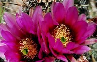 Budget friendly does not equate to a barren landscape.