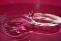 Some water softeners can remove mineral and metallic ions without salt.