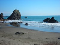 Oregon beaches attract thousands of tourists a year.