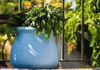 Personalize your own ceramic flower pot.