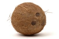 Transform a coconut into a piece of art.