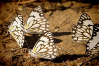 Stress can produce butterflies in your stomach.