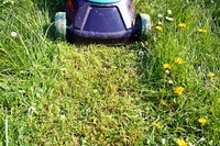 Your lawn mower is capable of using detergent and non-detergent formulas of oil.