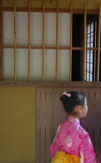 Mimic a traditional Japanese rice paper window with wax paper.