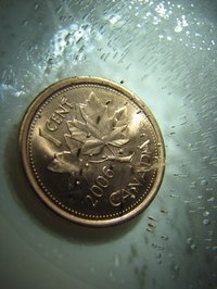 Painting coins is a great hobby for coin collectors and small object painters.
