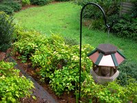 You can paint your bird feeder to make it a feature in your garden.