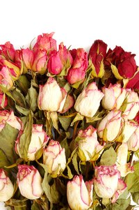 Preserving flowers allows you to enjoy their beauty throughout the year.