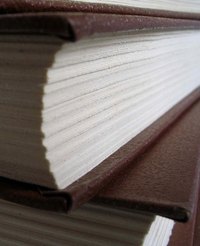 Insurance audit programs are used to examine policies and insurance company procedures