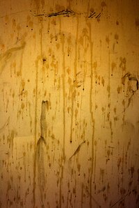 Restore the appearance of your wood floor by removing dried paint spills.