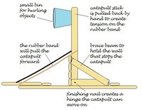 A simple catapult can be hours of fun.